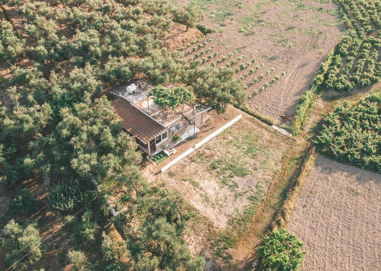 The Mills House *